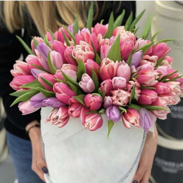 Pink and lavender tulips arranged in a white hatbox