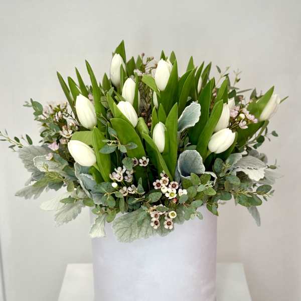 White tulips arranged in a pale round box with greenery
