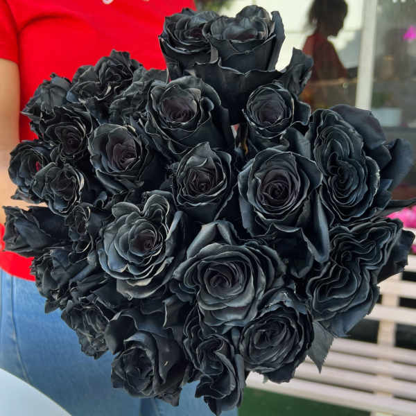 Bouquet of black roses held in front of a person