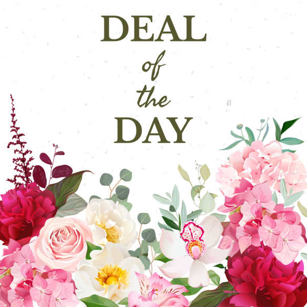 Floral graphic with pink and white flowers framing the words "Deal of the Day"