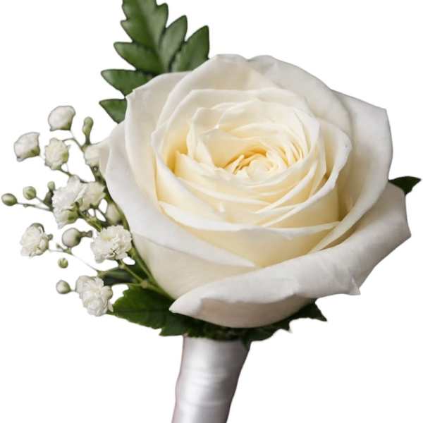 White rose boutonniere with baby's breath and green leaves