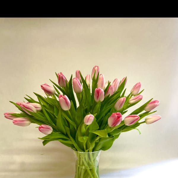 Pink tulips arranged in a clear glass vase