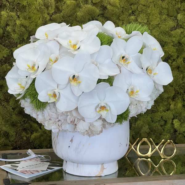 White orchid arrangement in a white vase against a moss wall