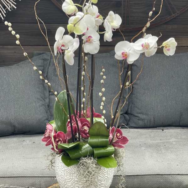 White and pink orchids arranged in a decorative ceramic pot