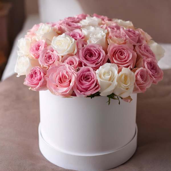 Pink and white roses arranged in a round white box