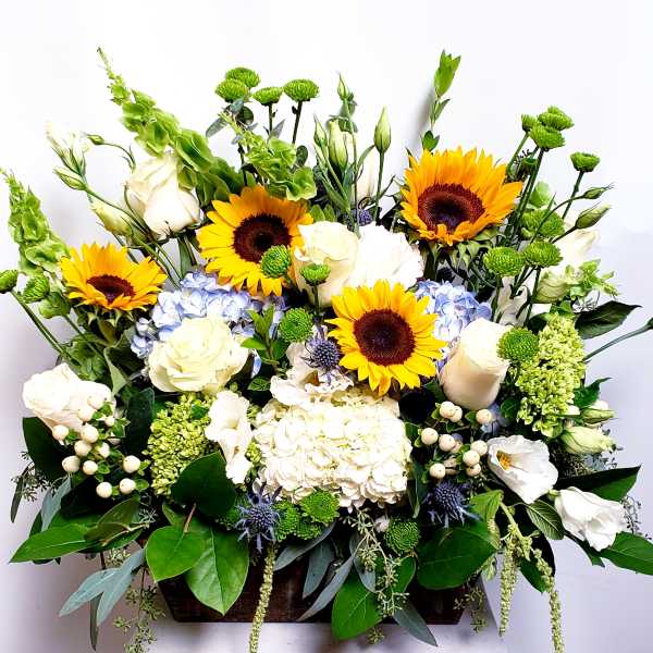 Mixed bouquet with sunflowers, white roses, and blue hydrangeas in a rectangular container