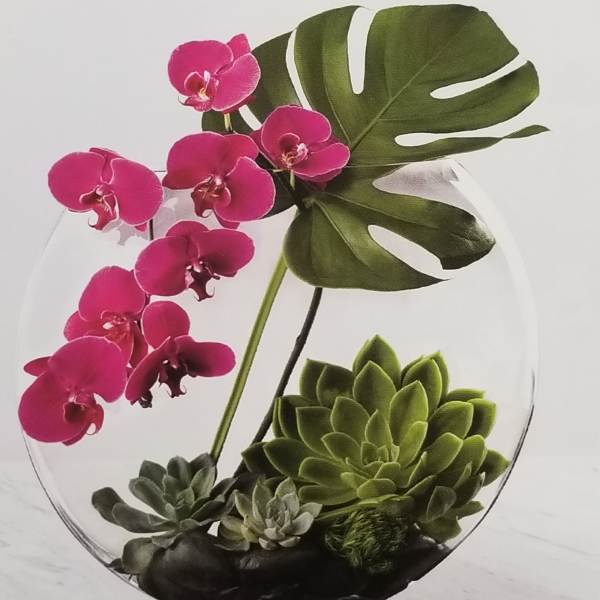 Pink orchids and succulents arranged in a clear glass bowl