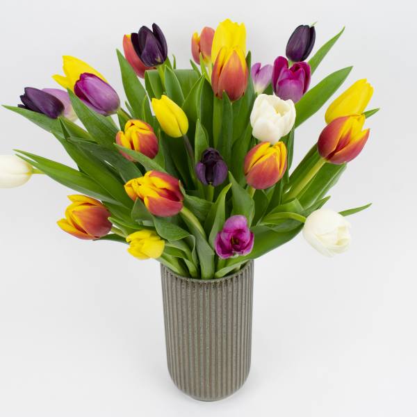 Mixed tulips in a ribbed vase