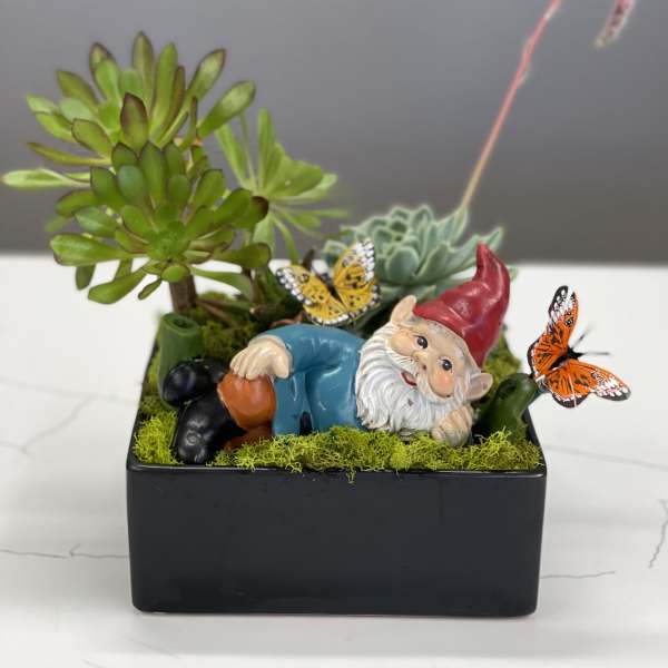 Succulent planter with a reclining gnome and butterfly decorations in a black pot