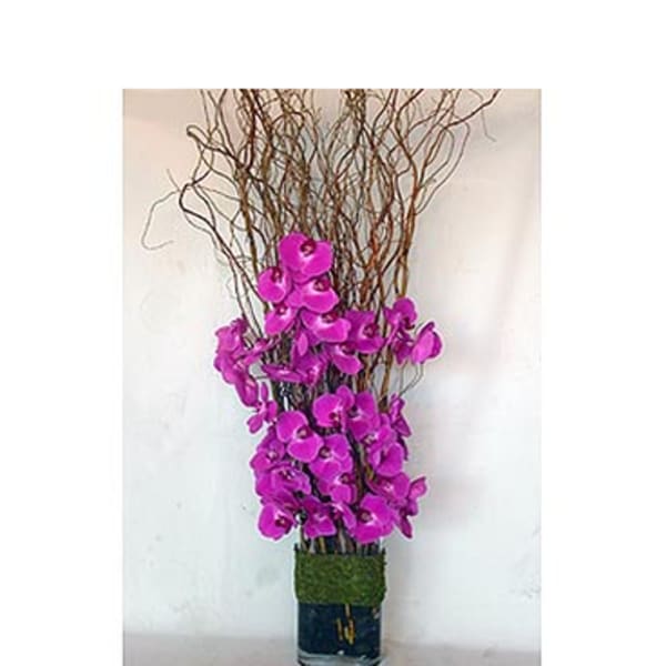 Tall arrangement of purple orchids in a glass vase with curly branches