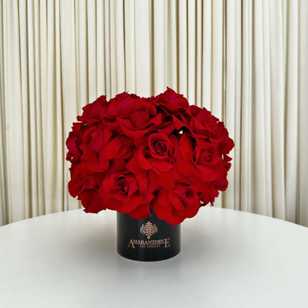 Scarlet Elegance