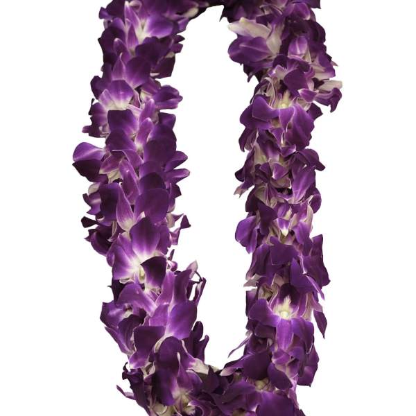 Purple orchid flower lei arranged in a full loop