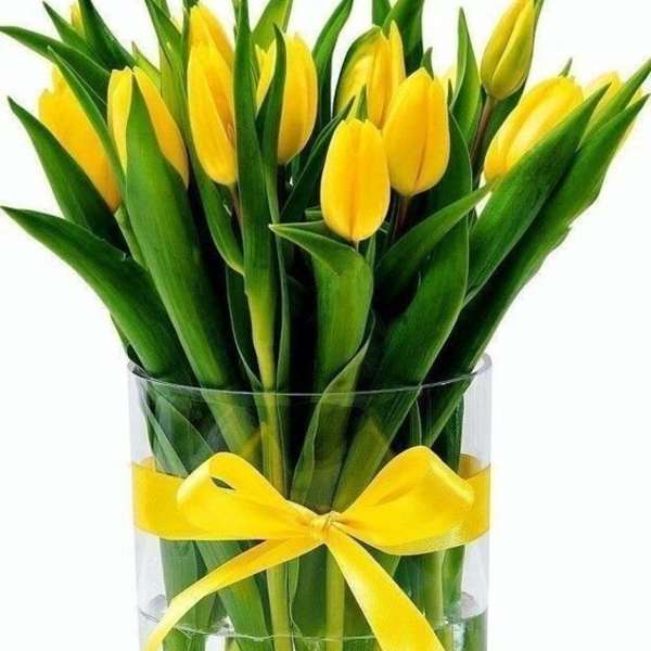 Yellow tulips in a clear glass vase with a yellow ribbon