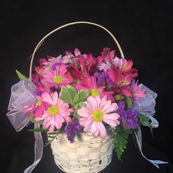 Pink and purple daisy basket arrangement with sheer ribbon bows in a white woven basket
