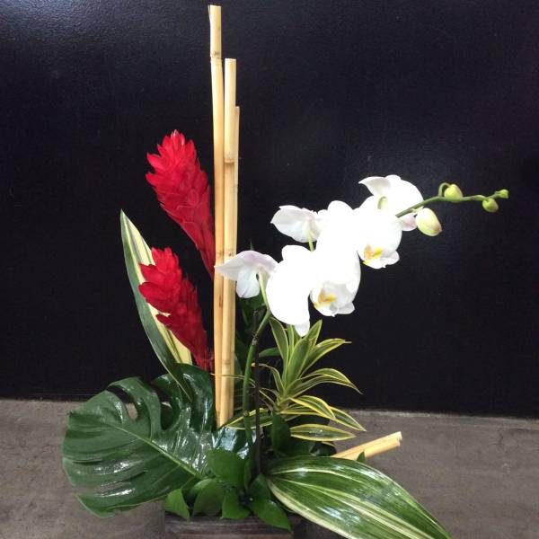 Tropical arrangement with white orchids, red flowers, and bamboo in a wooden box