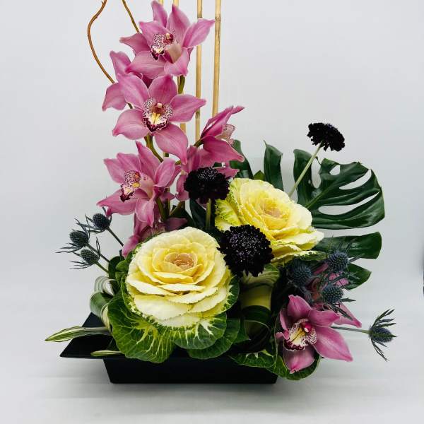 Contemporary arrangement with pink orchids, yellow ornamental cabbages and dark accent blooms in a black tray.