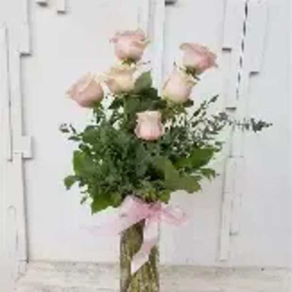 Half dozen Light pink roses