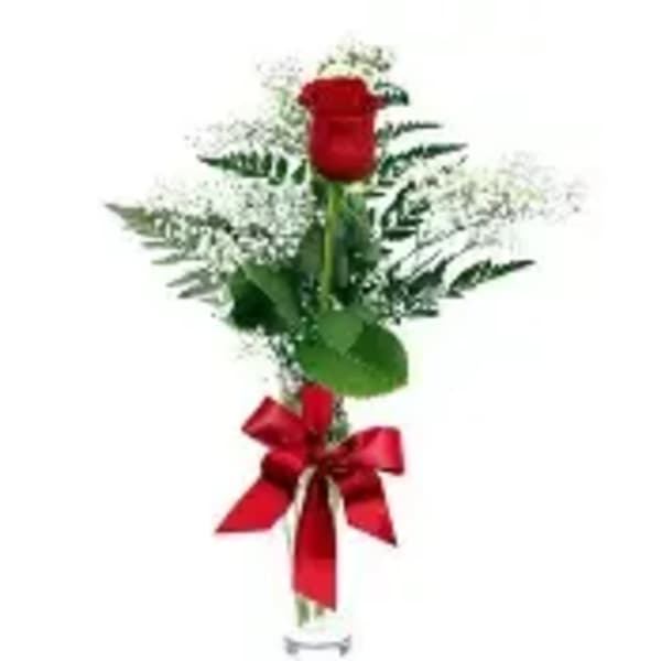 Single Red Rose Budvase