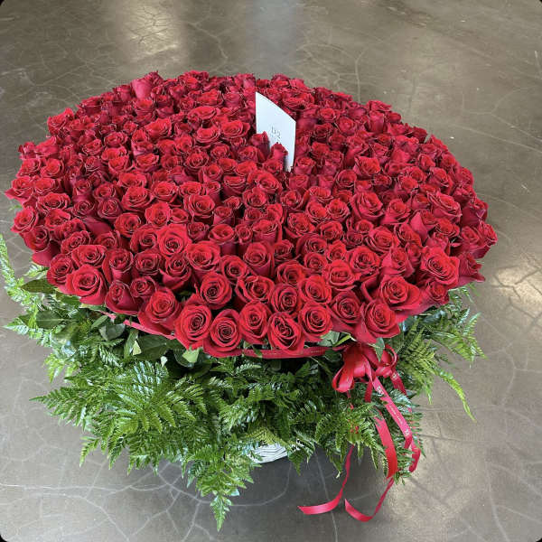 Large round arrangement of red roses with fern greenery and a red ribbon
