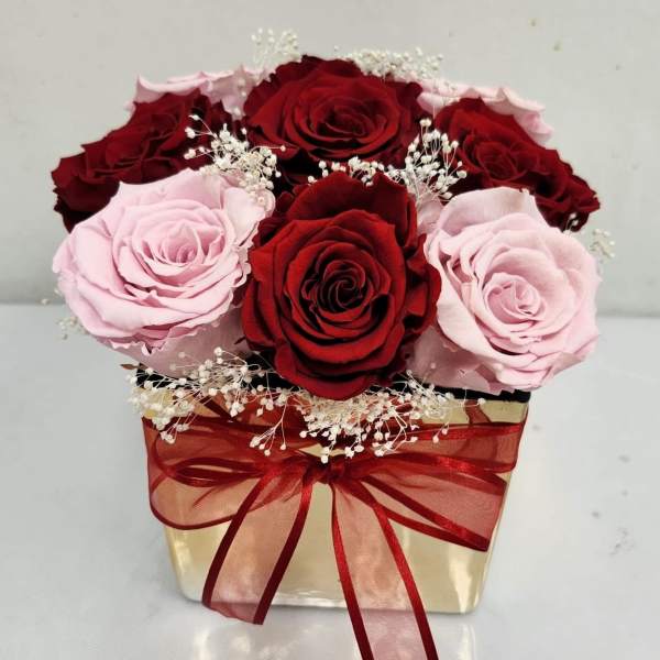 Amor Mio (PRESERVED ROSES)