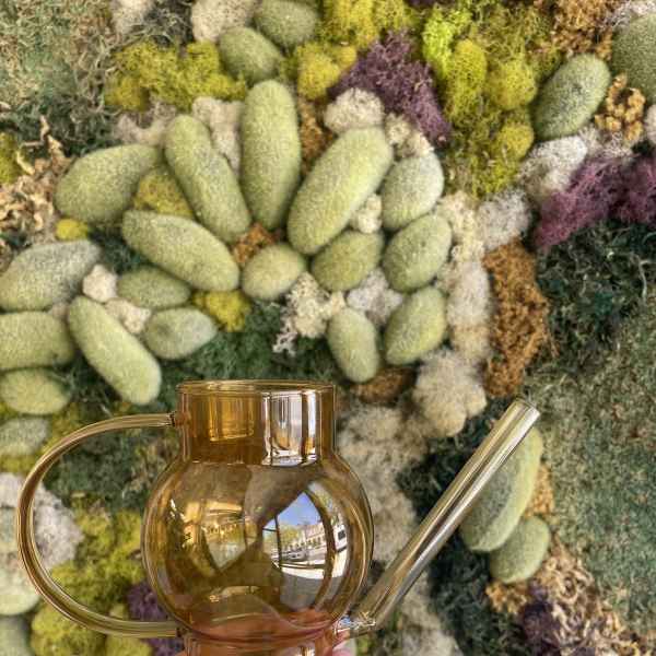 Amber glass watering can held in front of a moss wall