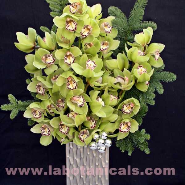 Green orchid arrangement in a tall silver vase with evergreen accents