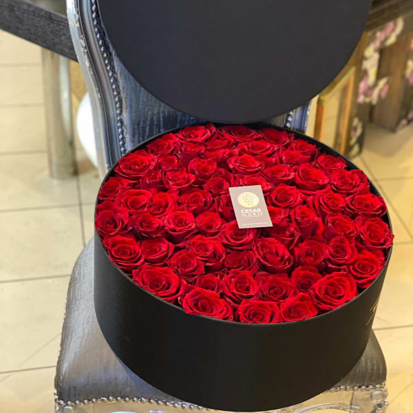 Parisian Hat Box