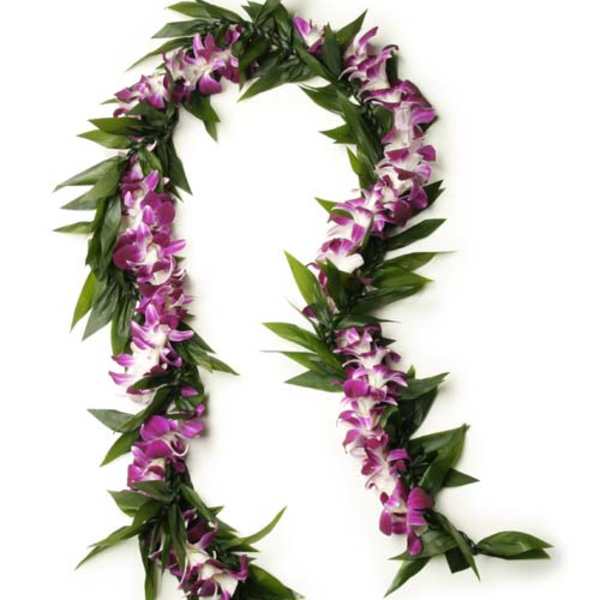 Open-style Maile + Orhcid Lei (purple)