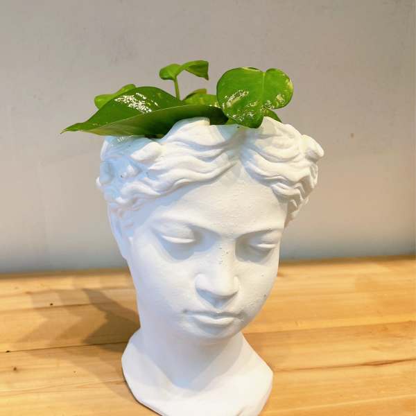 White sculpted planter shaped like a woman's head with green leaves on top