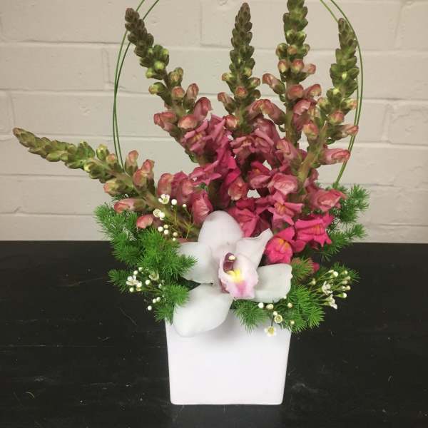 Mother of SnapDragons