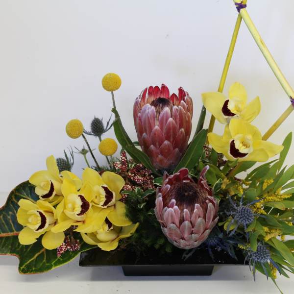 Low arrangement with pink protea, yellow orchids, and accent blooms in a black rectangular container