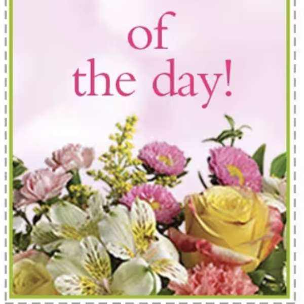 Pink greeting card with flowers and "deal of the day!" text