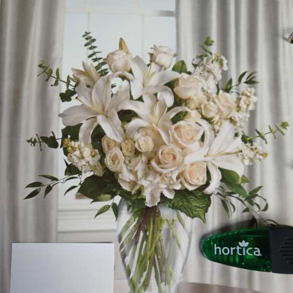 White lilies and cream roses in a clear glass vase
