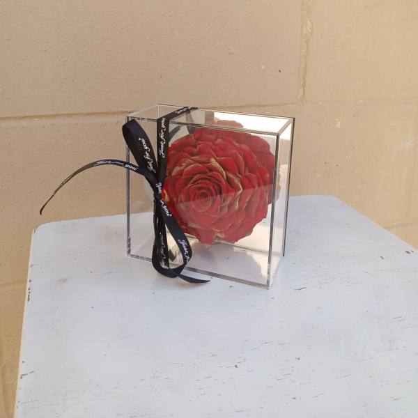 Single red rose in a clear acrylic box with a black ribbon