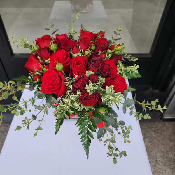 Low arrangement of red roses with trailing greenery in a red container