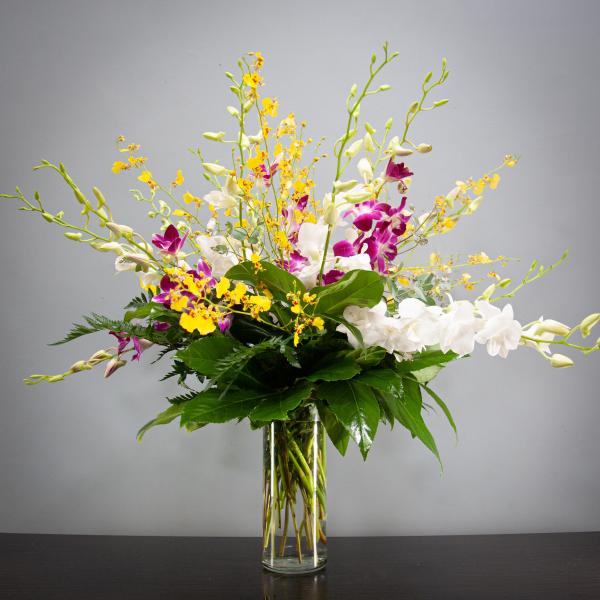 Tall orchid arrangement in a clear glass vase with white, purple, and yellow blooms