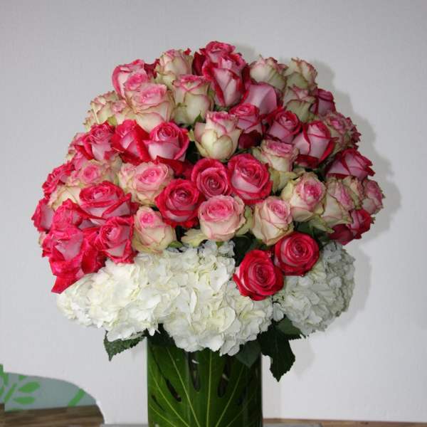 Pink and white roses arranged in a glass vase with white hydrangeas
