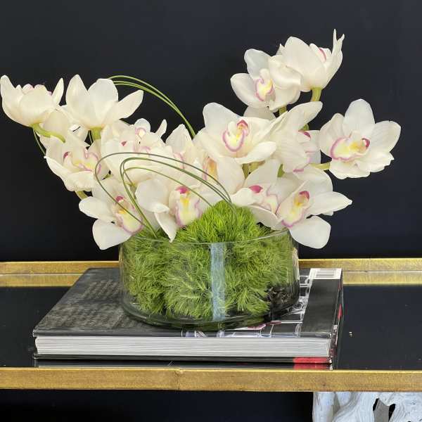 White orchids arranged in a glass bowl with green moss