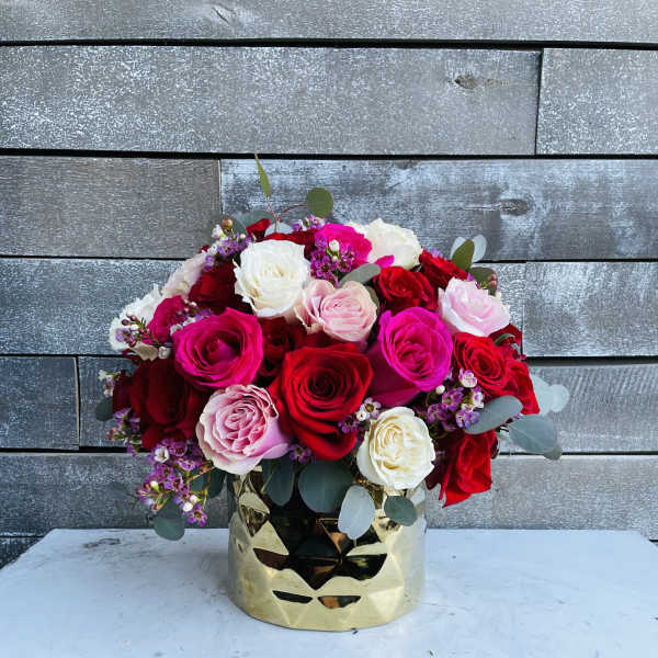 Bouquet of red, pink, and white roses in a gold vase