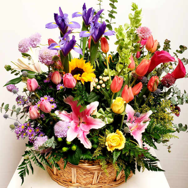 Basket Full of Dreams