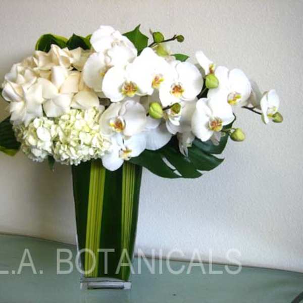 White orchids and cream hydrangeas in a tall green vase
