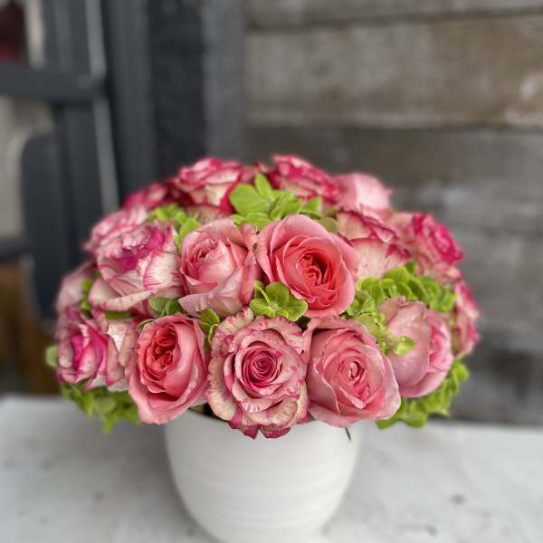 Pink roses arranged in a white vase