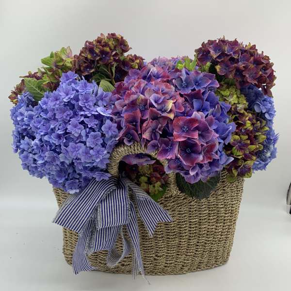 Hydrangea arrangement in a woven basket with a striped ribbon