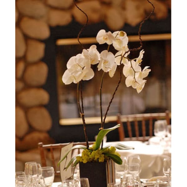 White orchid centerpiece in a black vase on a banquet table