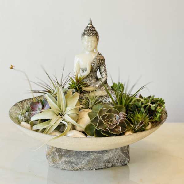 Succulent arrangement with a Buddha statue in a shallow bowl