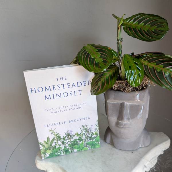 The Homesteader Mindset- Book Club!