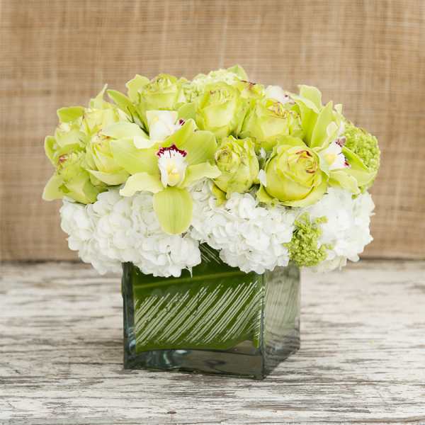 Green and white floral arrangement in a square glass vase