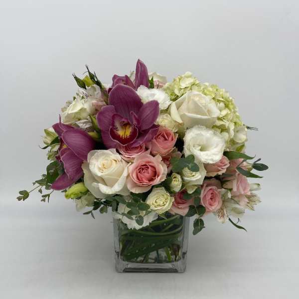 Compact arrangement of pink and white roses with purple orchids in a clear glass cube vase