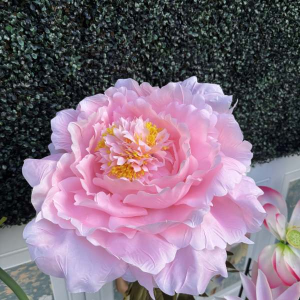 Overside Large Silk Peony Bloom