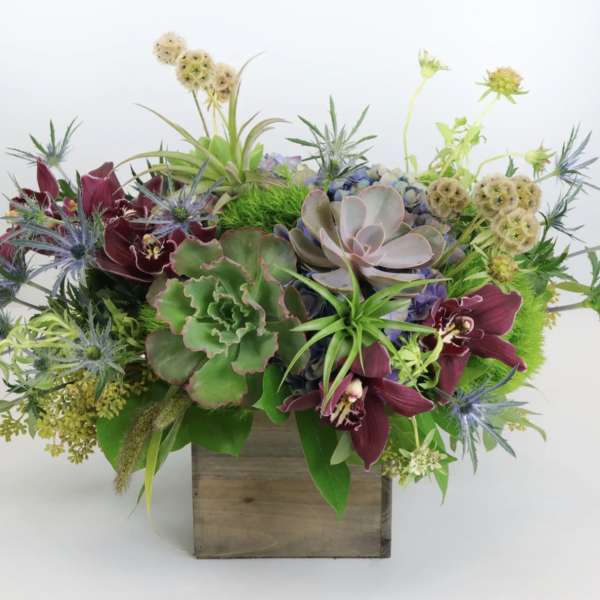 Succulent arrangement with burgundy orchids in a wooden box